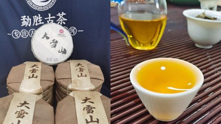 2023第十九届上海国际茶业博览会